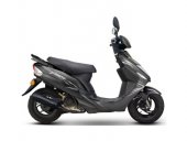 2011 Giantco g-Buddy photo